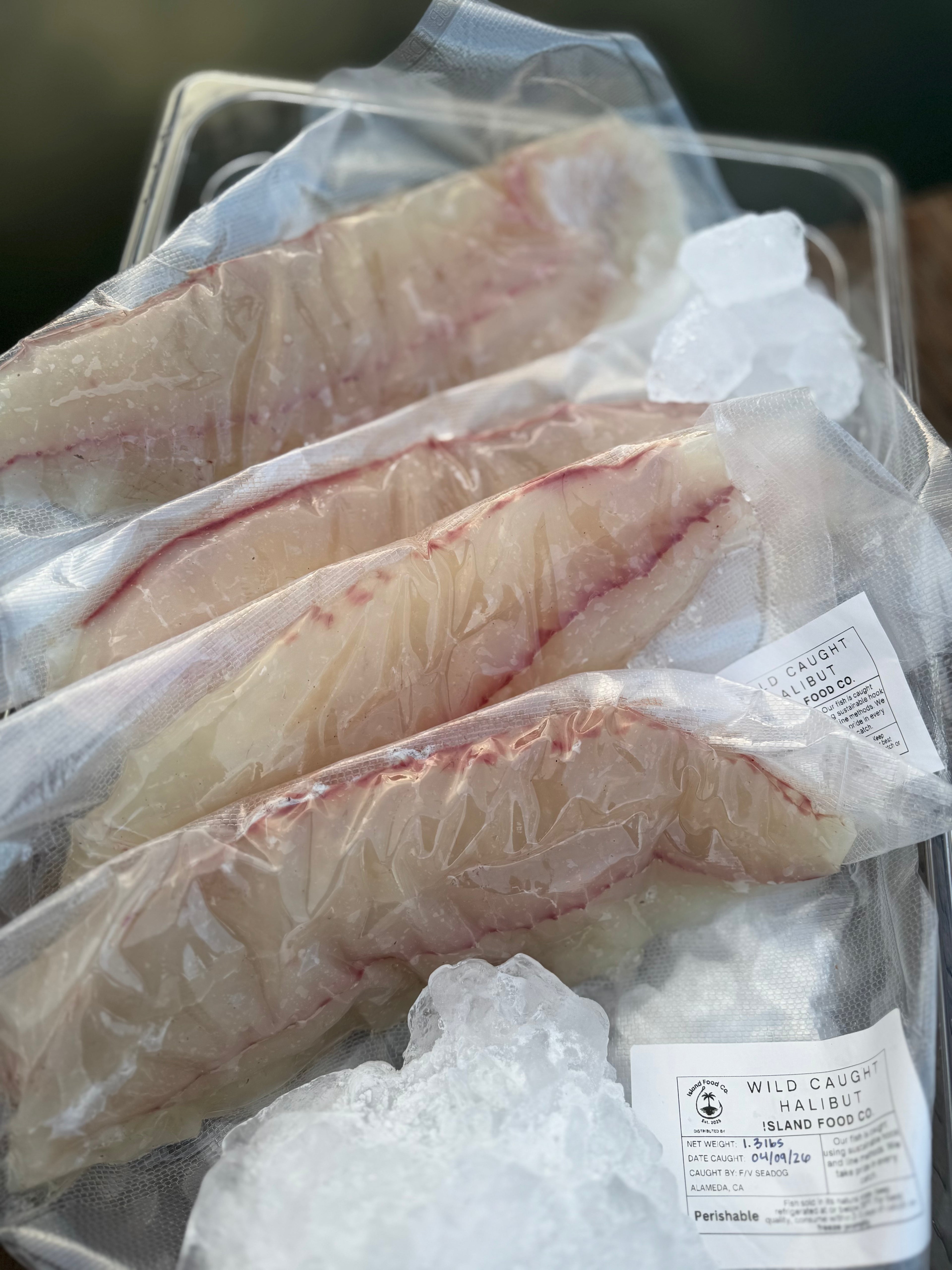 Fresh Fish