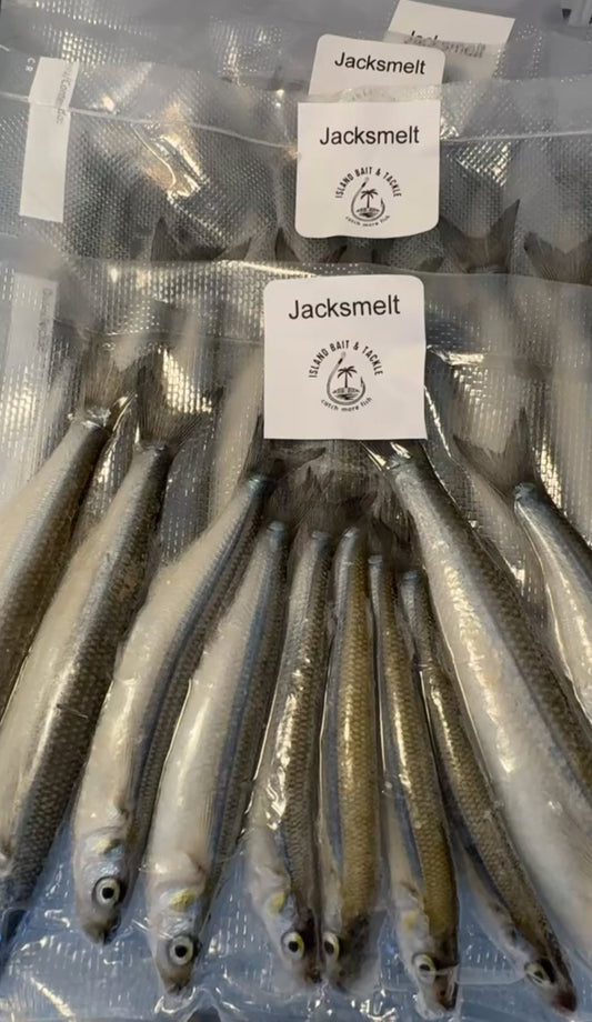 Frozen Bait- Jacksmelt